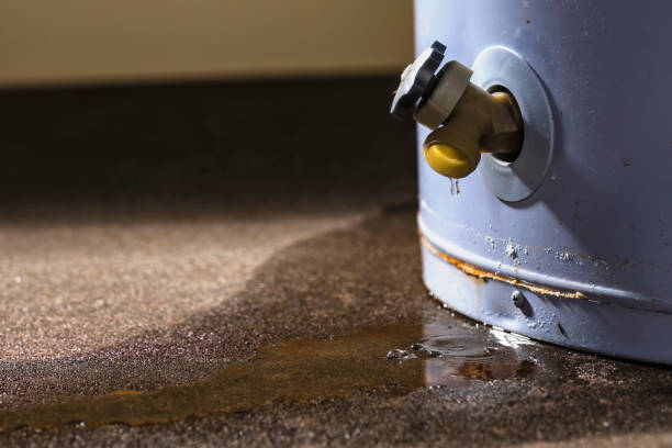 Best Water damage mitigation services  in Merlin, OR